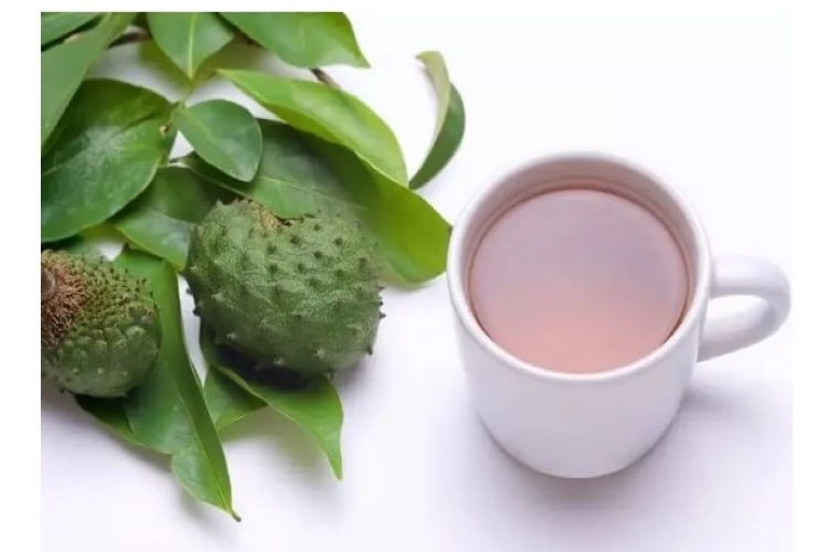 10 Guyabano ที่น่าทึ่งใบประโยชน์ของชา
